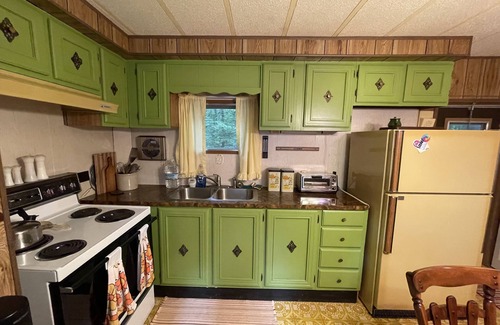 Hammondsport House | Groovy Getaway secluded retreat