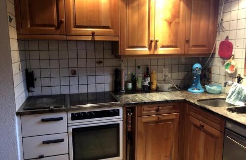 Oberwil im Simmental House | Grosses Chalet im Grünen