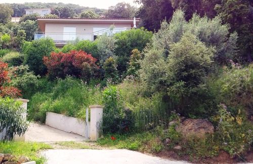 Belvedere-Campomoro House | Ground floor Villa with 2 independent floors
