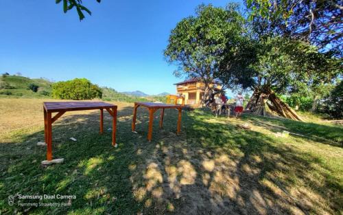 Pulot House | Ground Floor Air-conditioned Room in the Family Hut Bamboo House