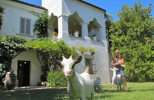 Tocco da Casauria Other | GROUPS (up to 9 apartments and 35 p) under mountains & only 30 min. from beaches