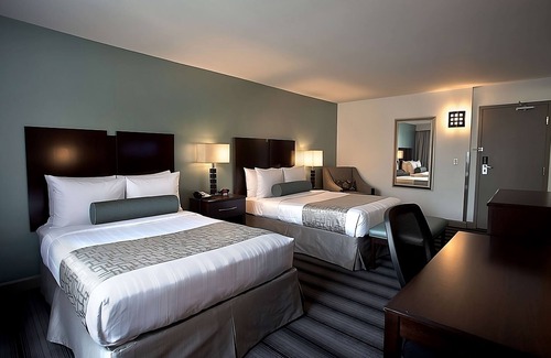 Downtown Chicago Hotel | Group Vacation! 4 Comfortable Units, Indoor Pool, Rooftop Deck