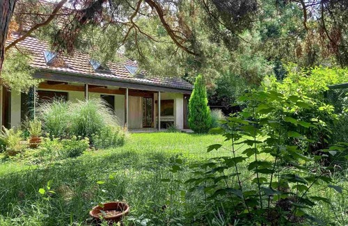 Aesch House | Gruppenunterkunft in schöner Villa, naturnah, mit Sauna