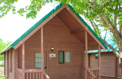 New Braunfels Cabin | Guadalupe River Lofted Cabin