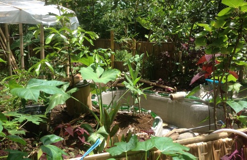 Batu Karas House | Gubuk Cinta di Kebun Pizza :