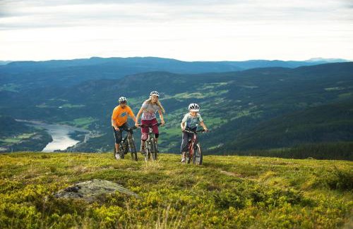 Skeikampen Cabin | GudbrandsGard Hyttegrend Kvitfjell