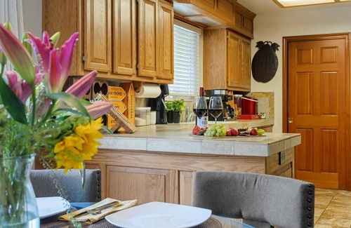 Guerneville House | GuernevilleGetaway-Super Chill FUN Home w/Lounge! - GmRm,HotTub, Pup, WiFi
