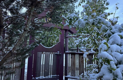 Salt Spring Island House | Guest accommodations at Salt Spring Island yoga centre