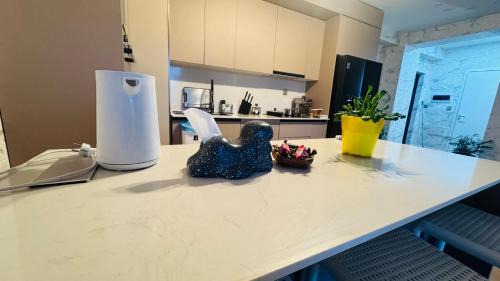 Selenge Apartment | Guest Appartment