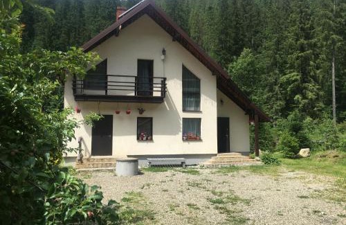 Palyanytsya Cabin | Guest house Alyaska