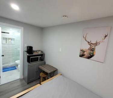 Bayview Woods - Steeles House | Guest House Basement - Master Bedrooms in Bayview Village