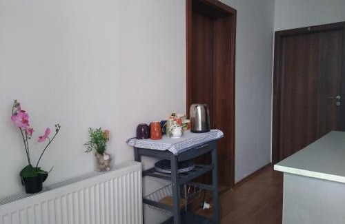 Batak House | Guest House - Batak