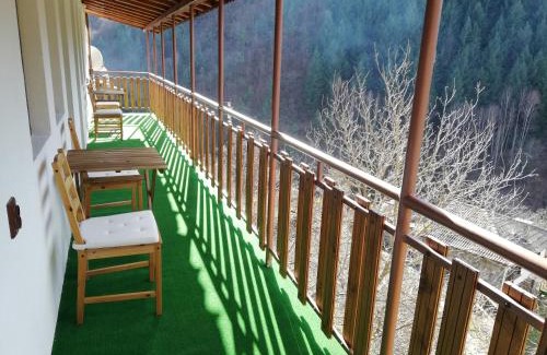 Kosovo House | GUEST HOUSE ELENA