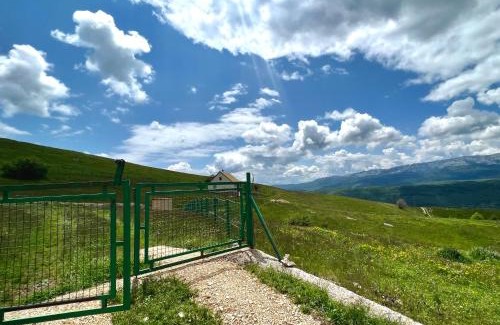 Pluzine House | Guest House Highland