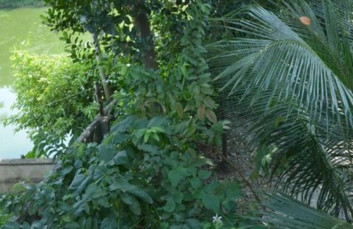 Chandannagar House | Guest house in Chandannagar