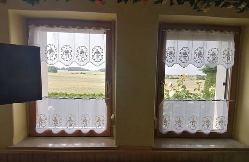 Niederau Apartment | Guest house in the countryside. Plenty of space for families with children and pet-friendly!