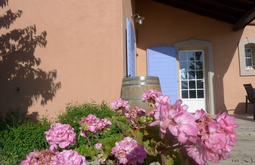 Verzeille Cottage | Guest house in the heart of nature, with horses and shared pool,15 min from Carcassone