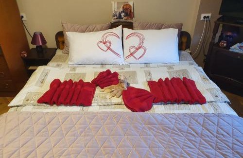 Niska Banja House | Guest House Jasmin