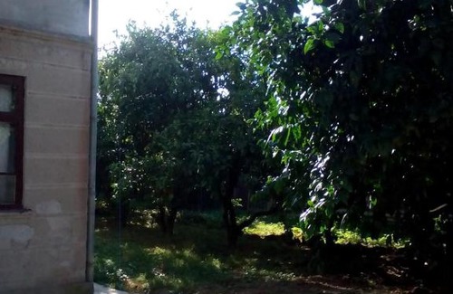 Sokhumi House | Guest house Karina