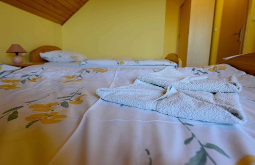 Zrece House | Guest House Koprivnik