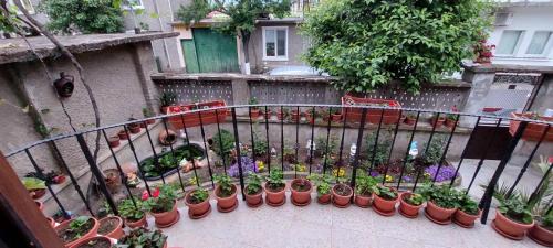 Pavel Banya House | Guest House Kukera