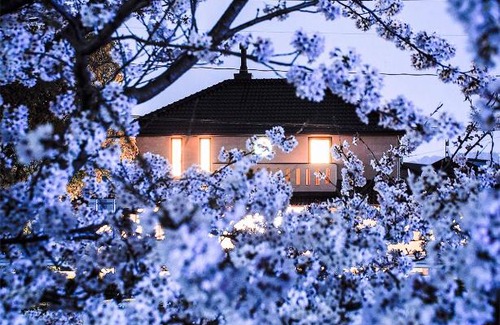 Fukuyama House | Guest house kusunoki(women only)