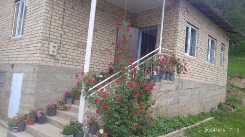 Arkit Bed & Breakfast | Guest house Kyzyl alma