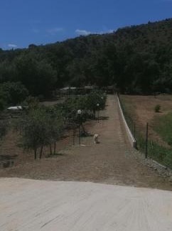 Centola House | Guest House l'orto di Antonio