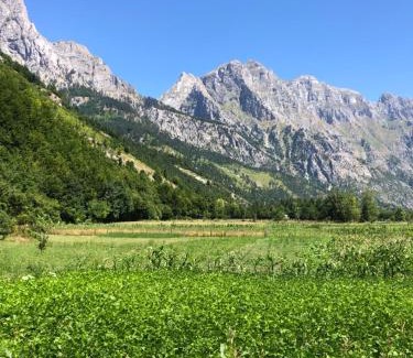 Kukes County House | Guest House Ledio