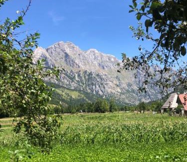 Kukes County House | Guest House Ledio