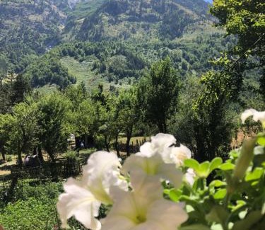 Kukes County House | Guest House Ledio