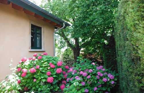 Kindenheim Apartment | Guest house "Living in the garden of the senses"