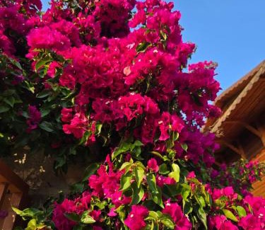 Qazim Pali House | Guest House Luiza