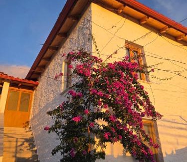 Qazim Pali House | Guest House Luiza