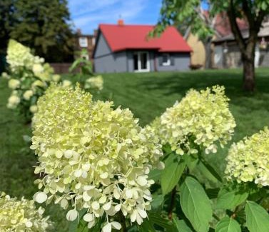 Ventspils House | Guest House