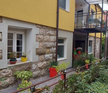 Soko Banja Apartment | Guest House Pavlovic