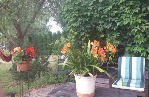 Plavniekkalns House | Guest House Pechersky & Sons