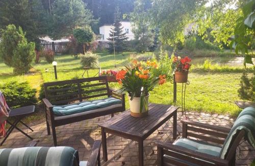Plavniekkalns House | Guest House Pechersky & Sons