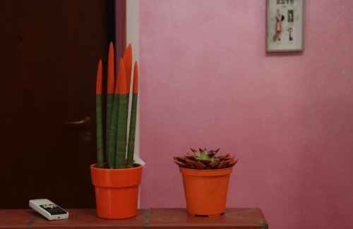 Cadelbosco di Sopra Apartment | Guest House Romero