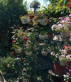Berehove House | Guest House Zhanna