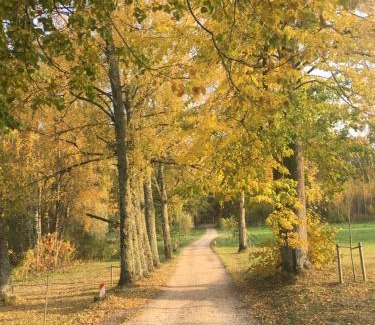 Ludza Municipality House | Guest House Zirga Smaids