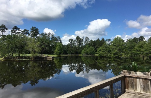 Plantersville Cabin | GUEST RANCH CABIN /POOL/FISHING LAKE