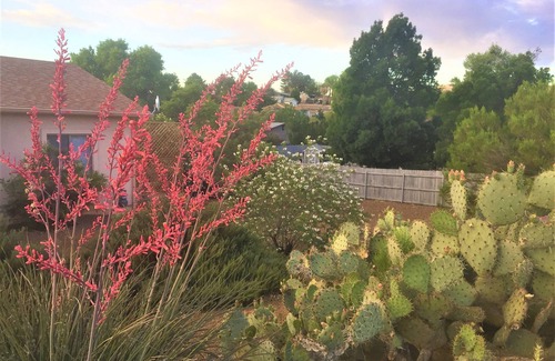 Cottonwood-Verde Village House | Guest suite - 2 private rooms - stargazer sundeck - ecofriendly - dog friendly