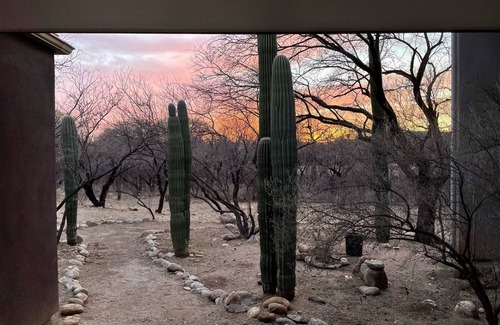 Sycamore Vista Estates Apartment | Guesthouse among Saguaros