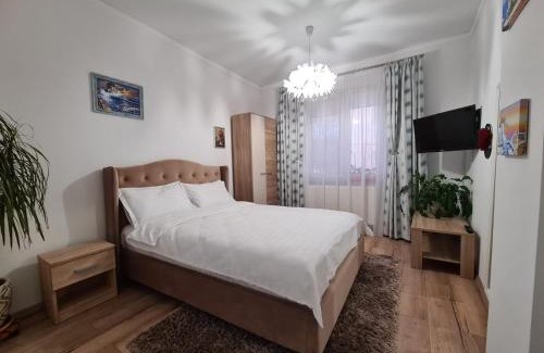 Craiova Villa | Guesthouse Citycenter