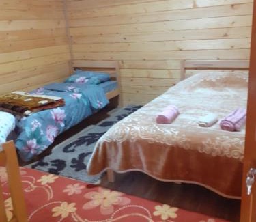 Kukes County House | Guesthouse Dioni