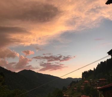 Ayder Yaylasi Apartment | Guesthouse Dolunay