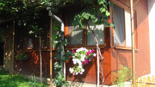 Belogradchik House | Guesthouse Elena