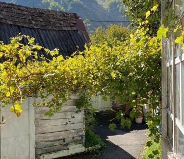 Ilisu House | Guesthouse Ilisu