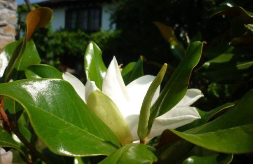 Dryanovo House | Guesthouse Peyna